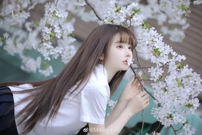 豌豆荚市场份额变化